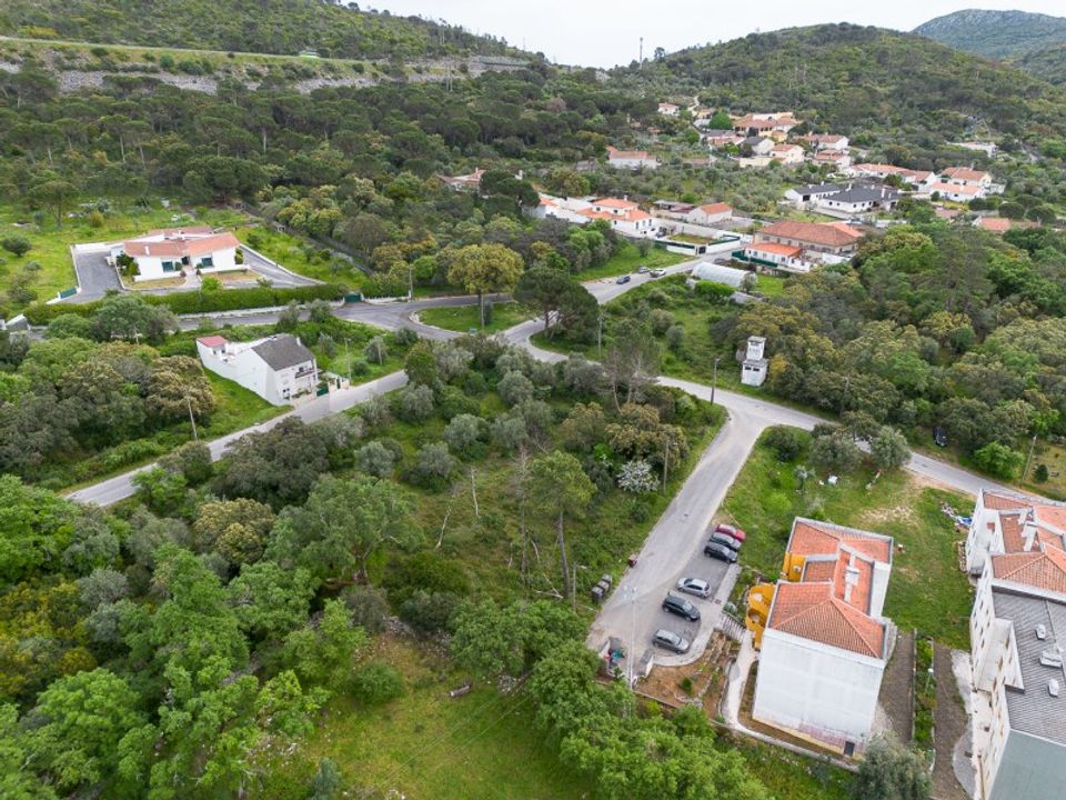 Terra em Minde, Santarem - foto 1