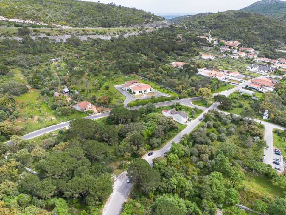 Terra em Minde, Santarem - foto 3
