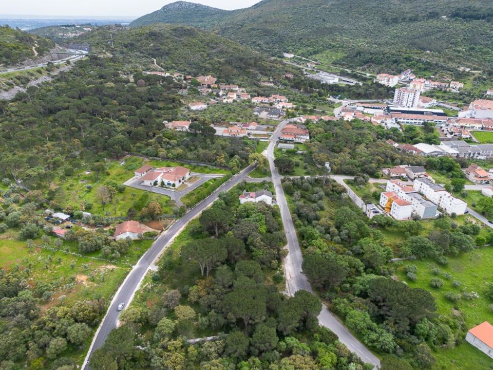 Terra em Minde, Santarem - foto 4