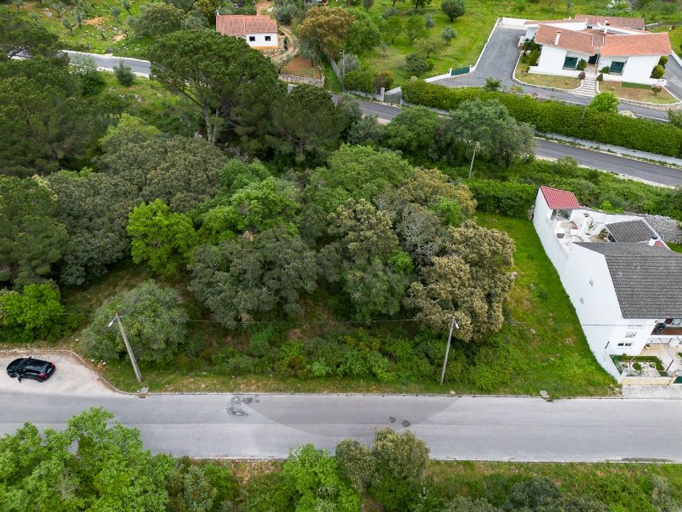 Terra em Minde, Santarem - foto 5