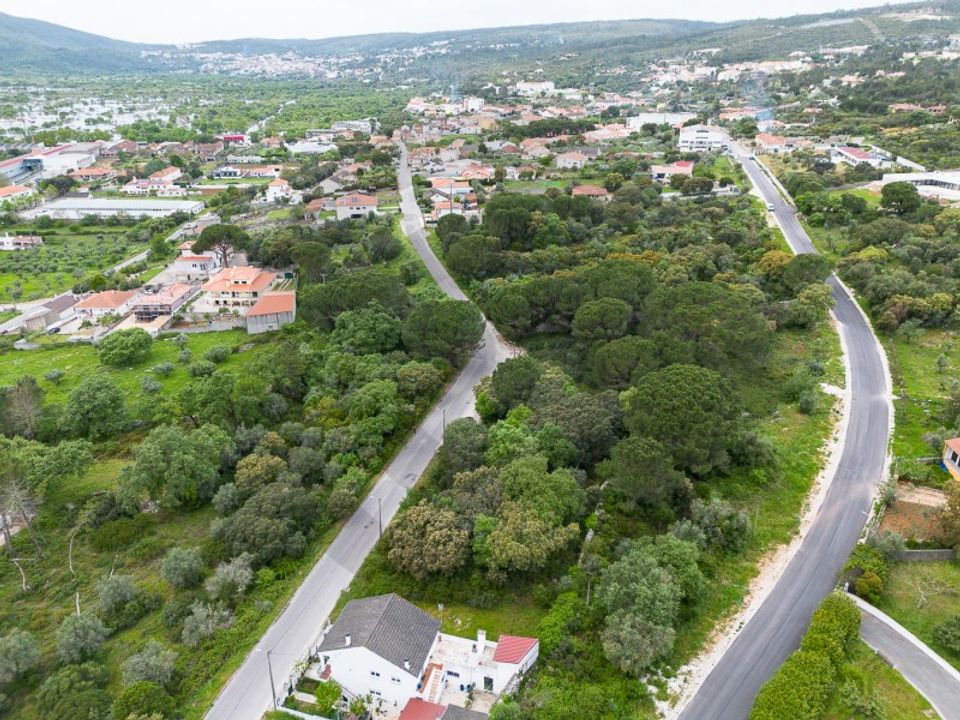 Terra em Minde, Santarem - foto 5