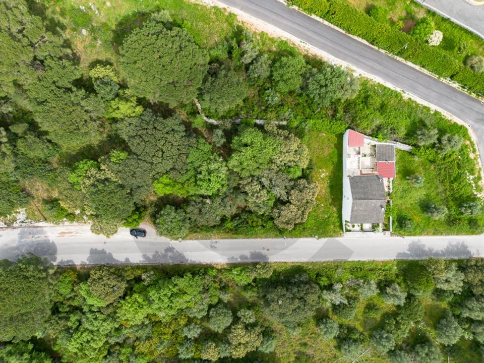 Terra em Minde, Santarem - foto 1