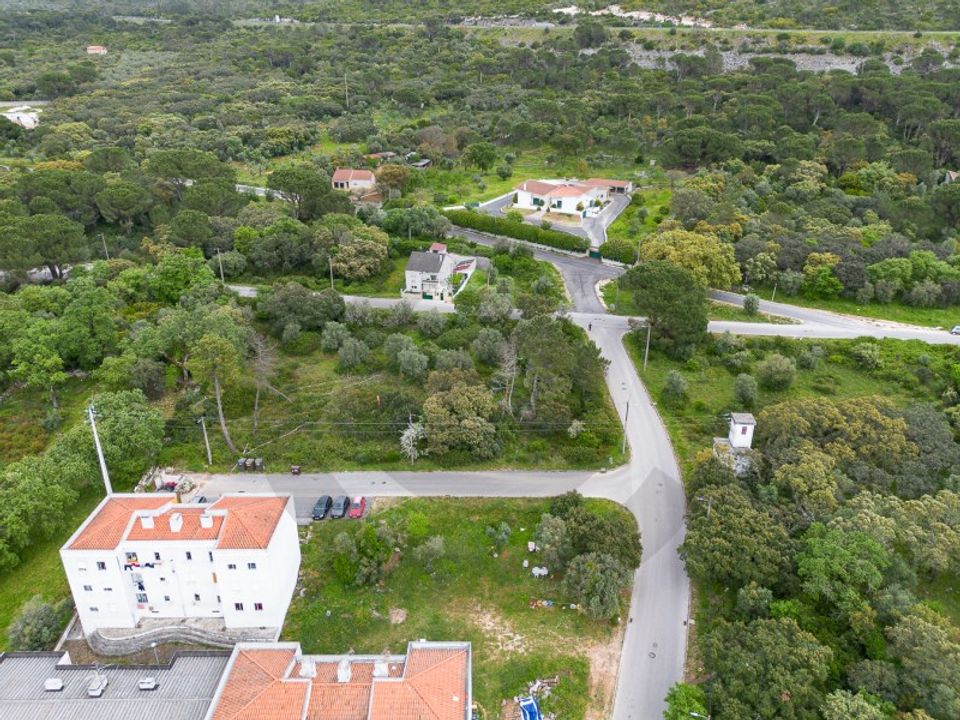 Terra em Minde, Santarem - foto 2