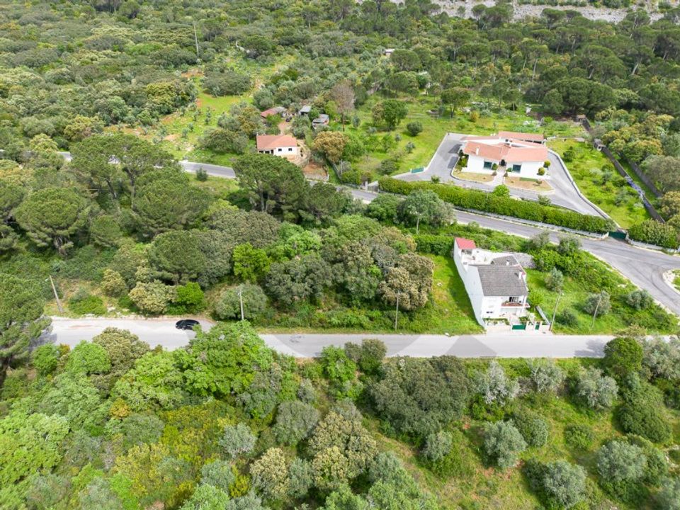 Terra em Minde, Santarem - foto 3