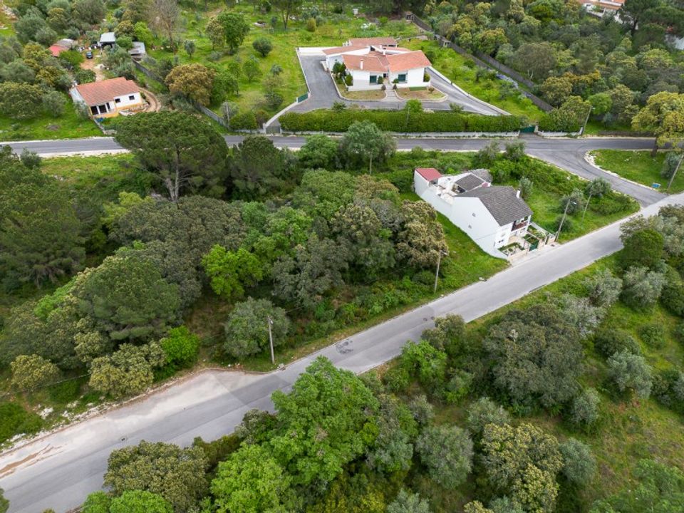 Terra em Minde, Santarem - foto 4