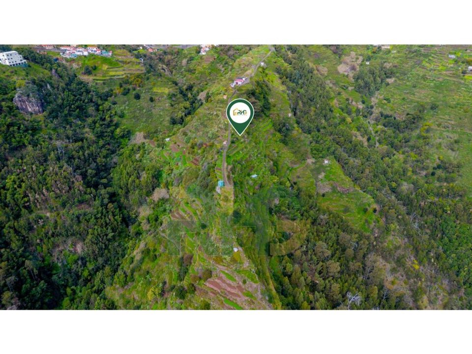 Helårsgrund i Camacha, Madeira - foto 4