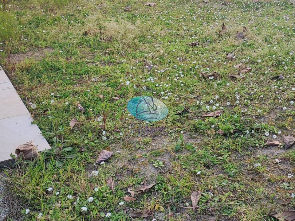 Villa i Camaiore, Lucca - foto 3
