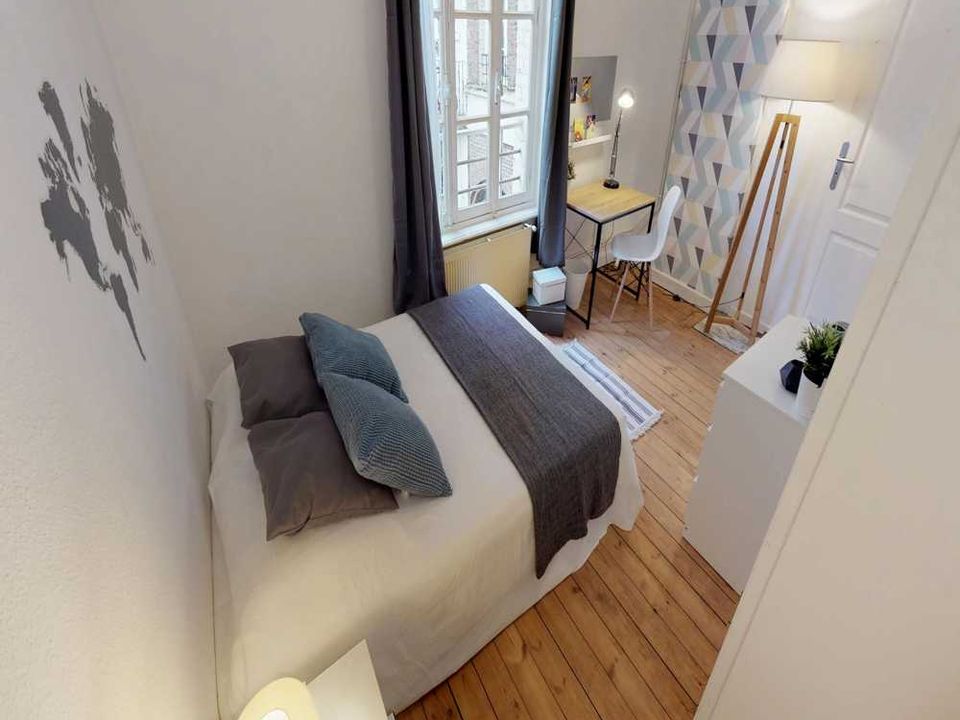 Apartment in Lille, Nord - photo 4