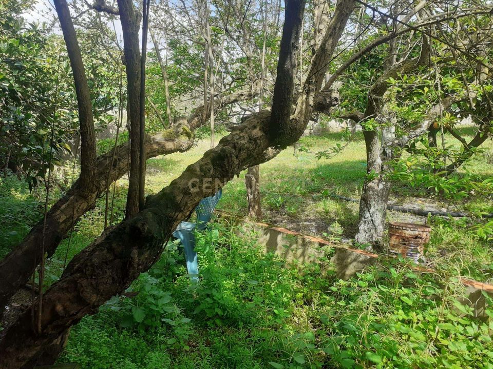 Helårsgrund i Montijo, Setubal - foto 4