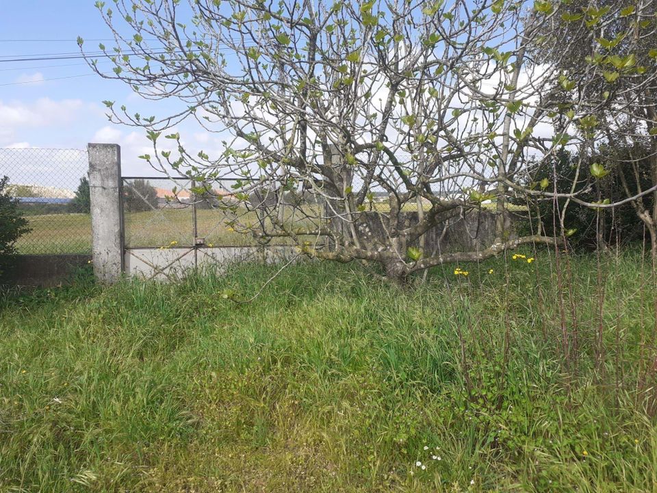 Helårsgrund i Montijo, Setubal - foto 2