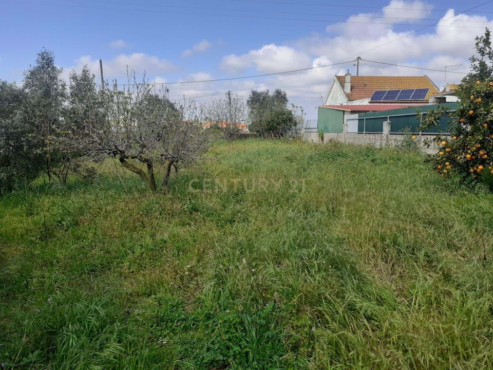 Helårsgrund i Montijo, Setubal - foto 3
