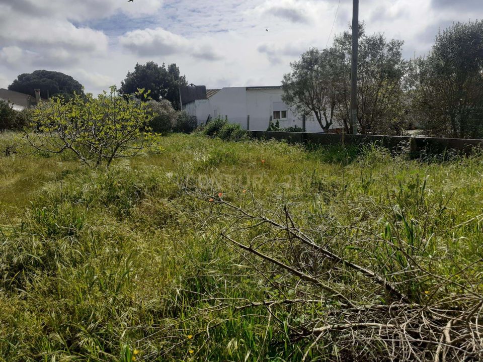 Helårsgrund i Montijo, Setubal - foto 4