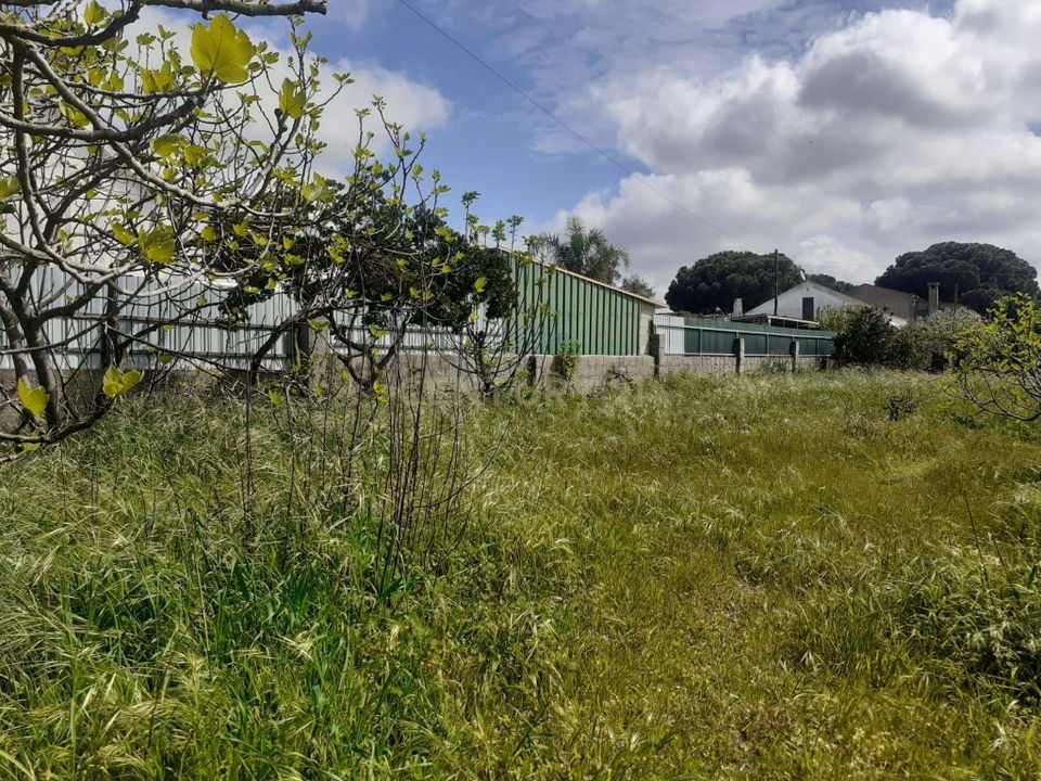 Helårsgrund i Montijo, Setubal - foto 5