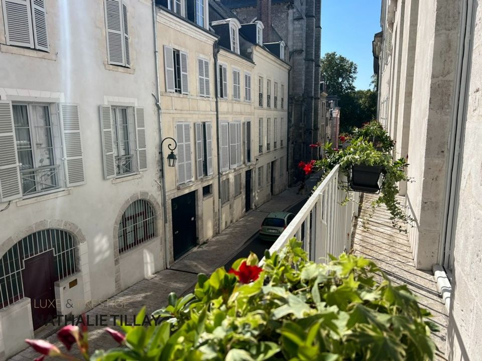 Lejlighed i Orleans, Loiret - foto 3