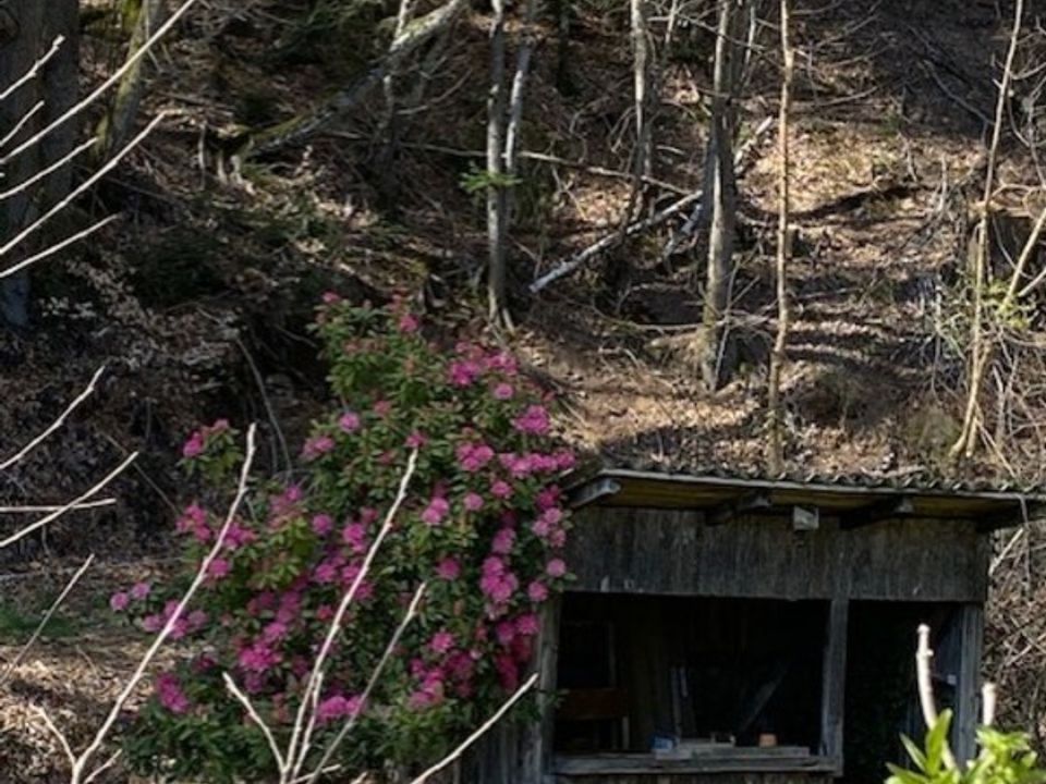 Villa i Sansac-Veinazès, Cantal - foto 5