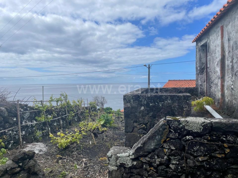 Helårsgrund i Lajes do Pico, Pico - foto 3