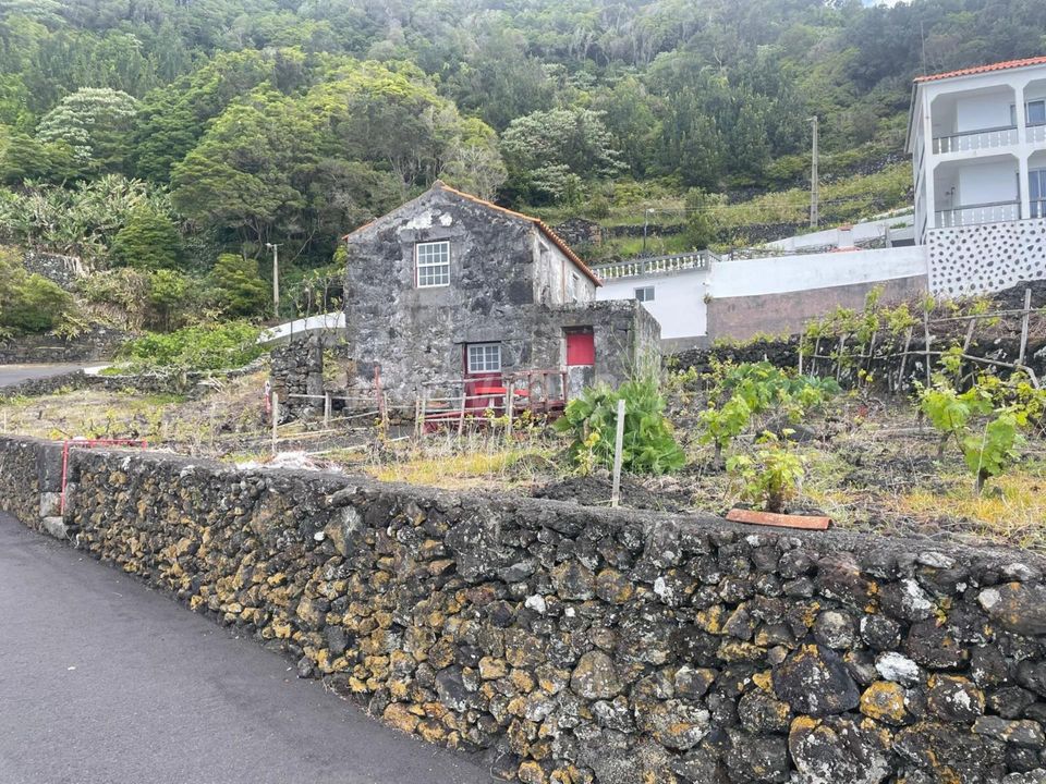 Helårsgrund i Lajes do Pico, Pico - foto 5