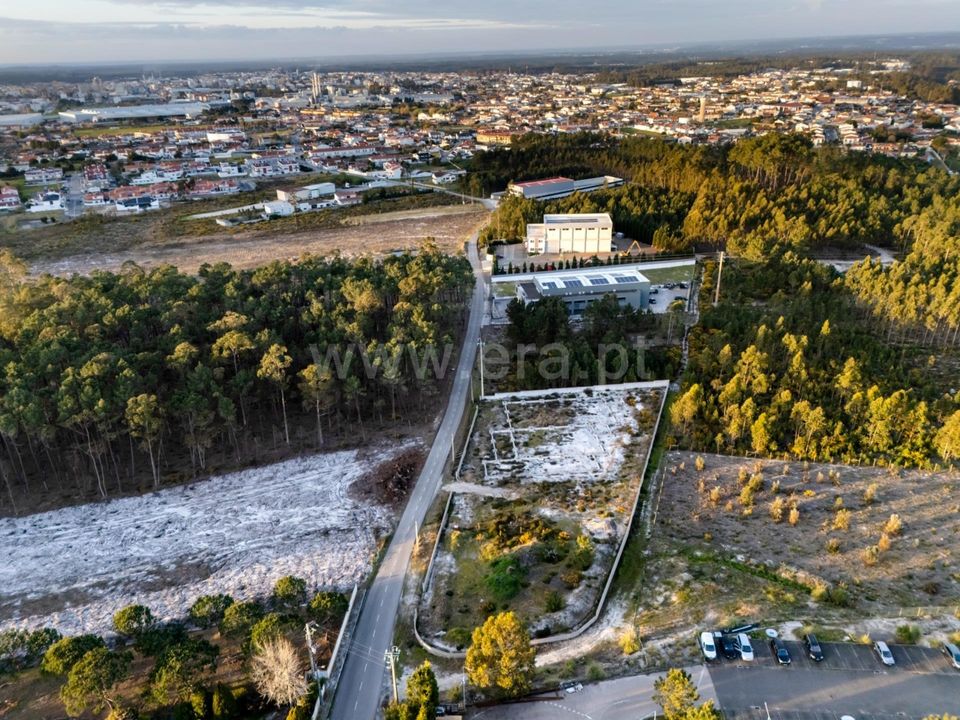 Helårsgrund i Marinha Grande, Leiria - foto 4