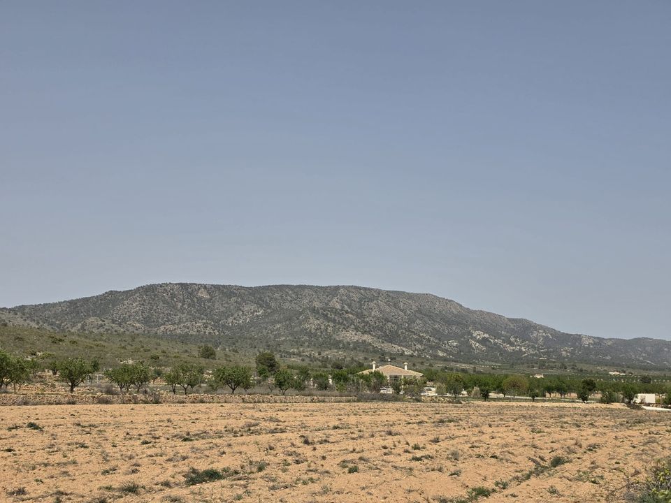Helårsgrund i Pinoso, Alicante - foto 1