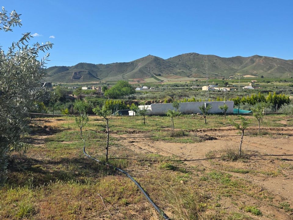 Villa i Huercal-Overa, Almeria - foto 5