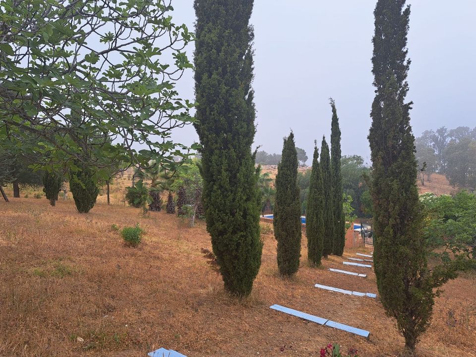 Finca i Entrerrios, Malaga - foto 4