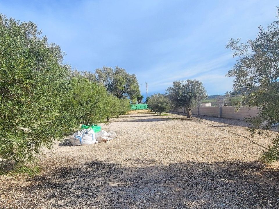 Landejendom i Monovar, Alicante - foto 5