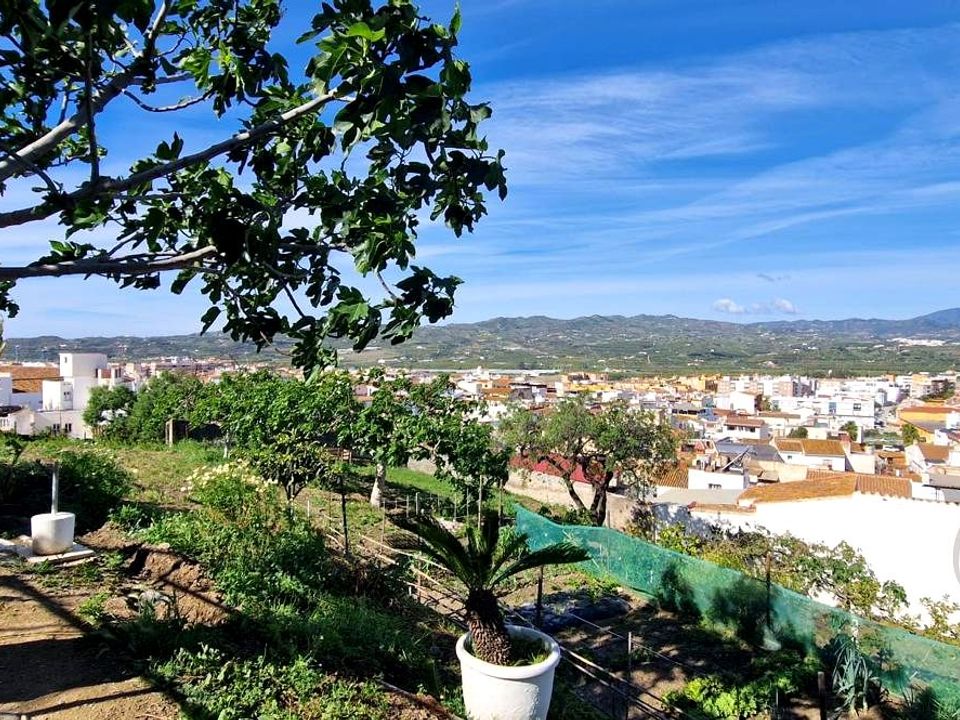 Landejendom i Velez Malaga, Malaga - foto 3