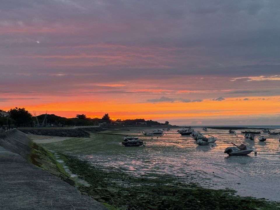 Villa i Le Bois-Plage-en-Ré, Charente-Maritime - foto 1