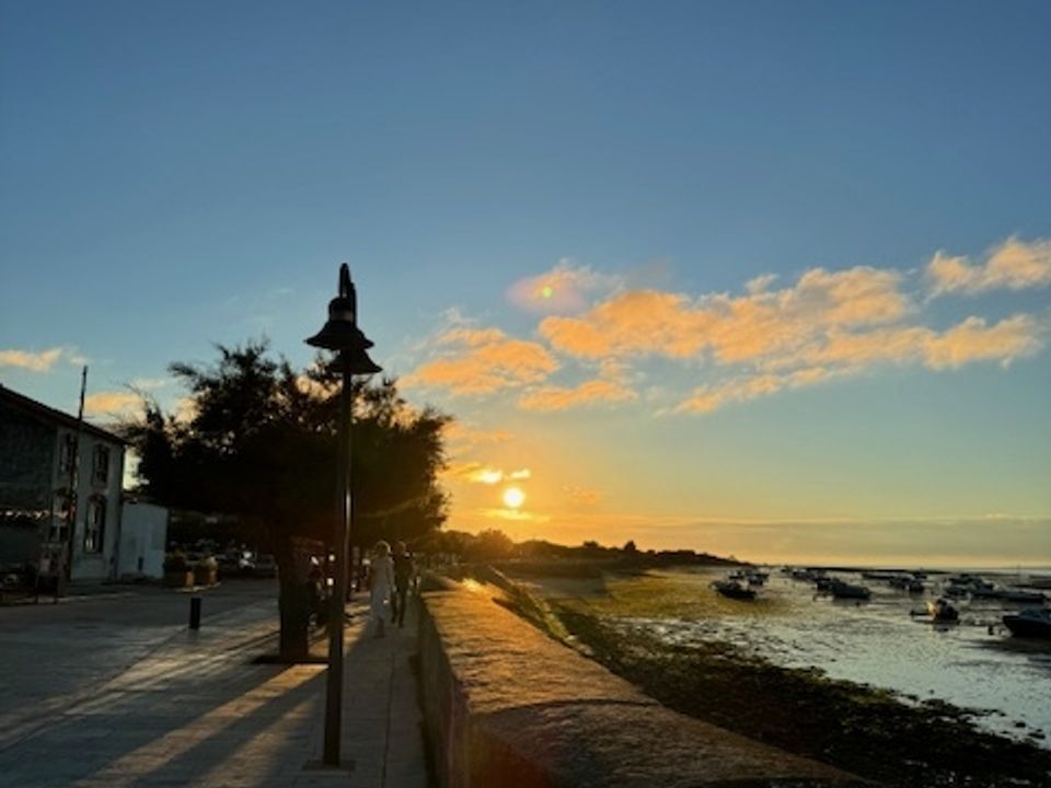 Villa i Le Bois-Plage-en-Ré, Charente-Maritime - foto 3