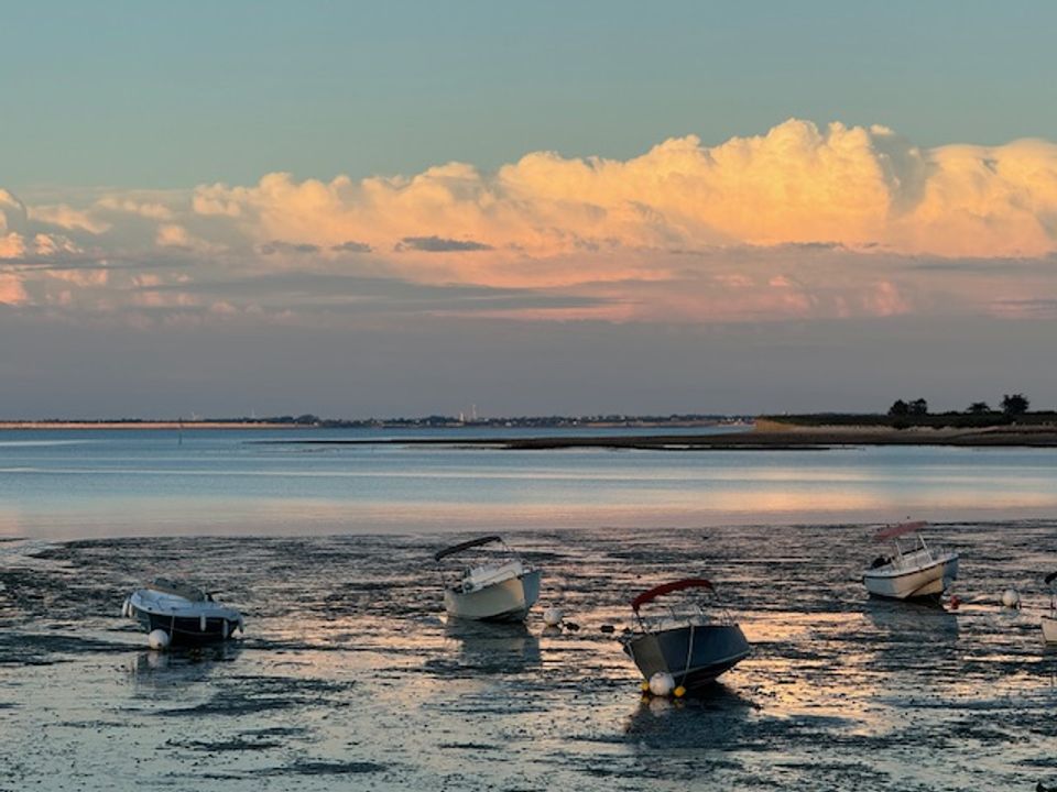 Villa i Le Bois-Plage-en-Ré, Charente-Maritime - foto 4