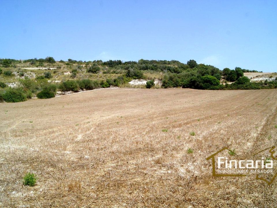 Helårsgrund i Manacor, Mallorca - foto 2