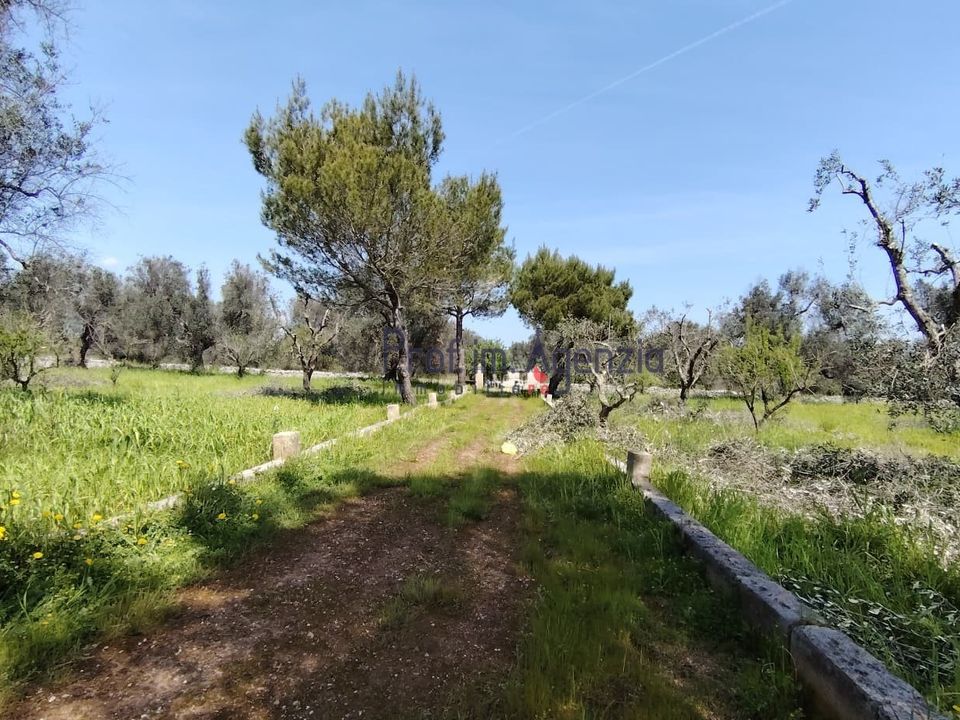 Helårsgrund i San Vito dei Normanni, Brindisi - foto 2