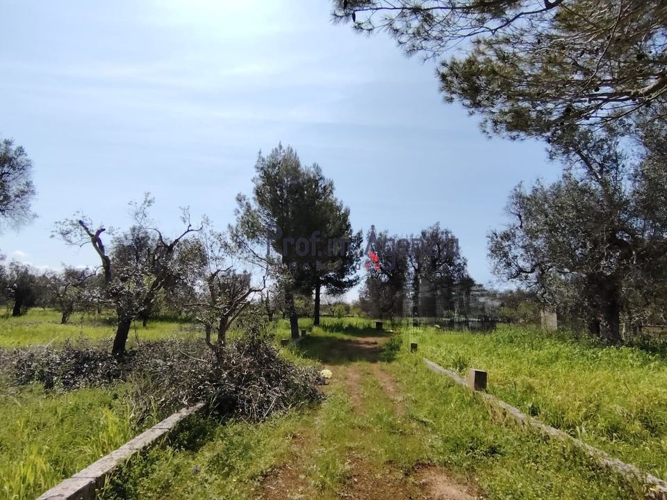 Helårsgrund i San Vito dei Normanni, Brindisi - foto 4