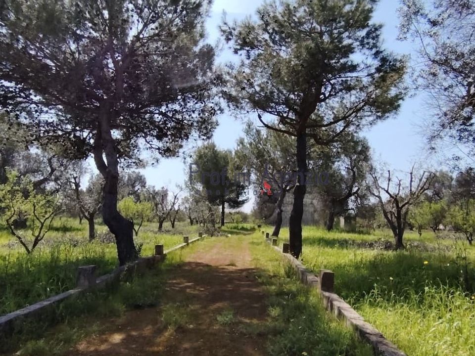 Helårsgrund i San Vito dei Normanni, Brindisi - foto 5