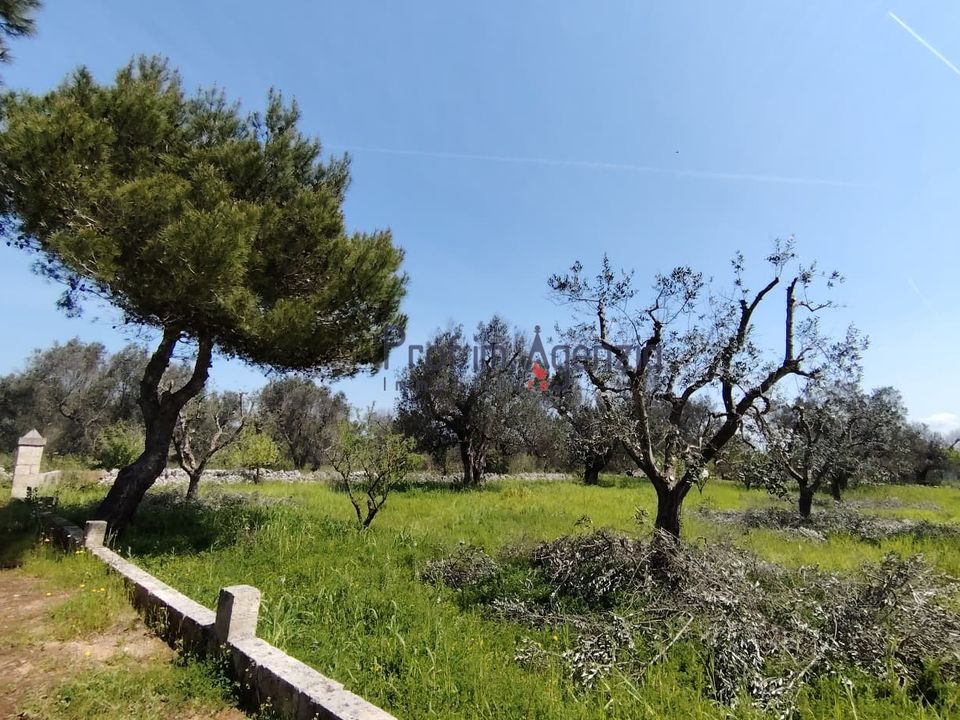 Helårsgrund i San Vito dei Normanni, Brindisi - foto 1