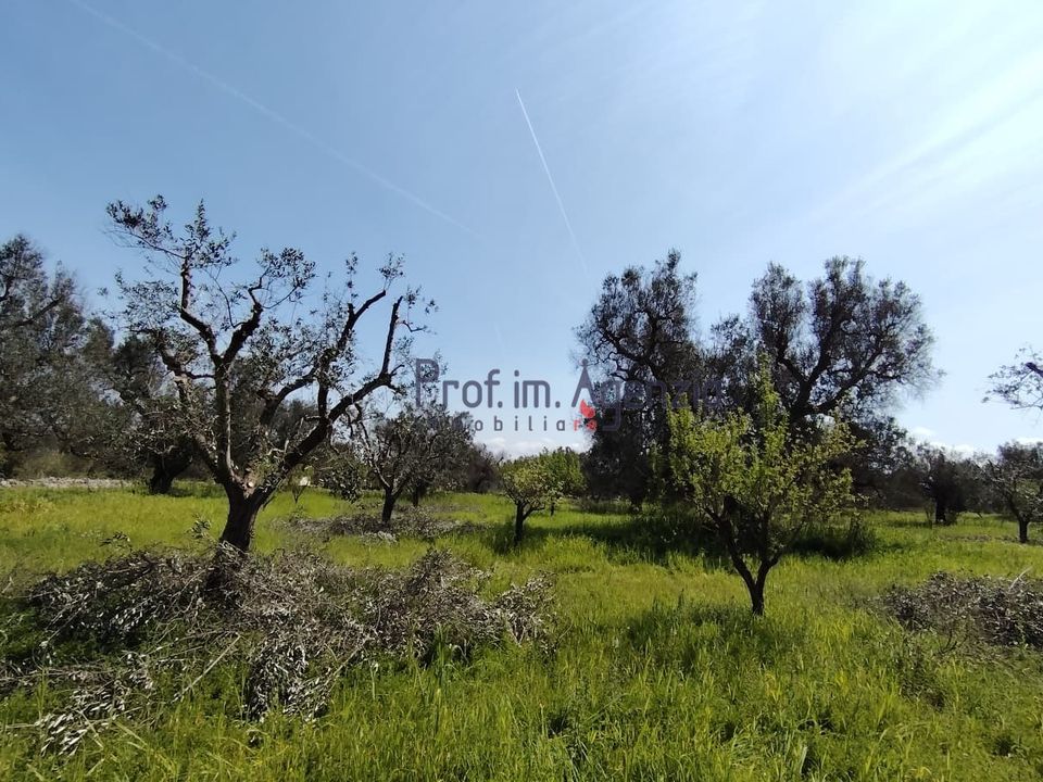 Helårsgrund i San Vito dei Normanni, Brindisi - foto 3