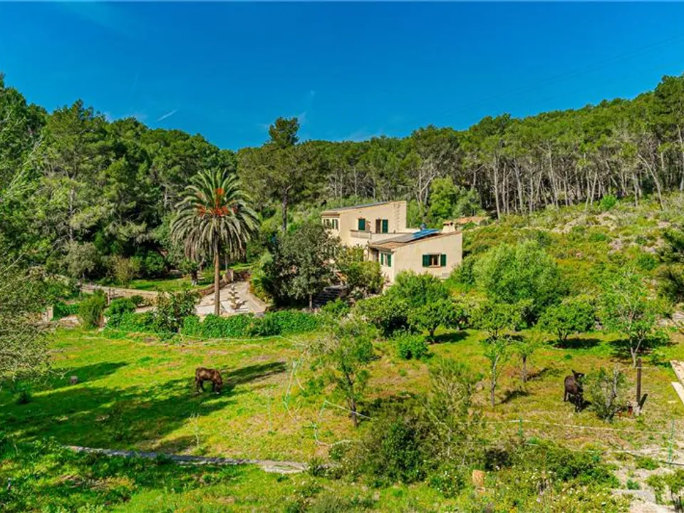 Finca i Llucmajor, Mallorca - foto 1