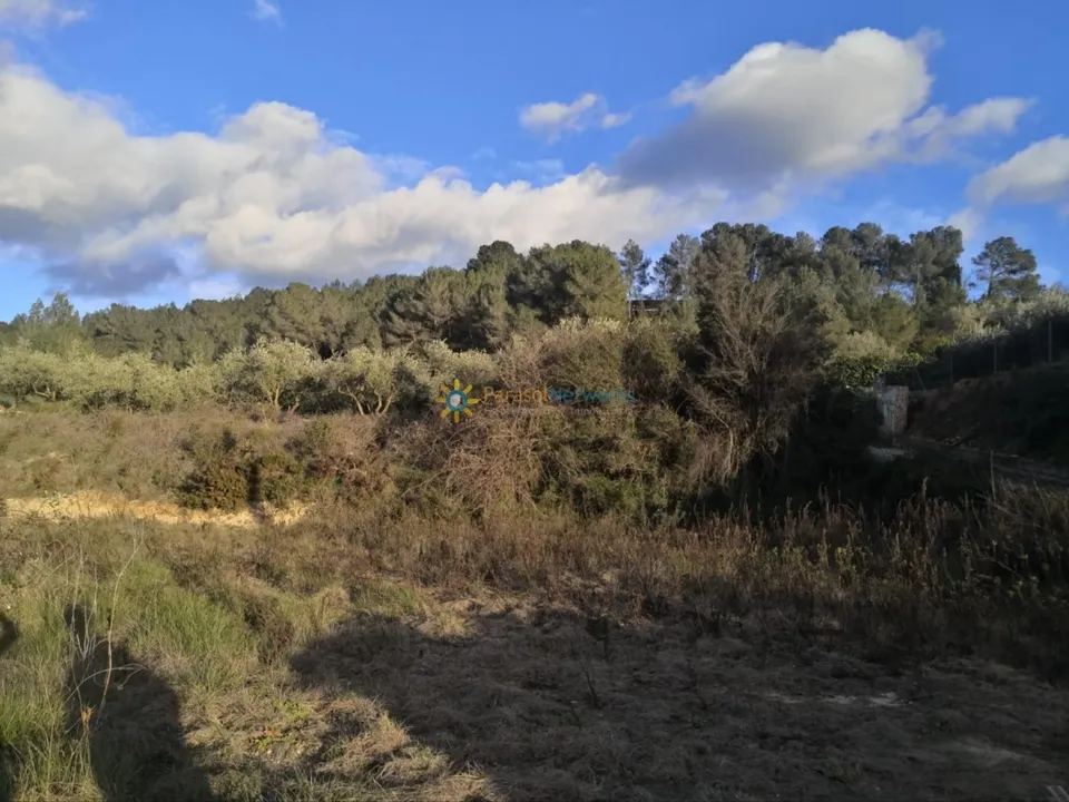 Helårsgrund i Beniganim, Valencia - foto 3