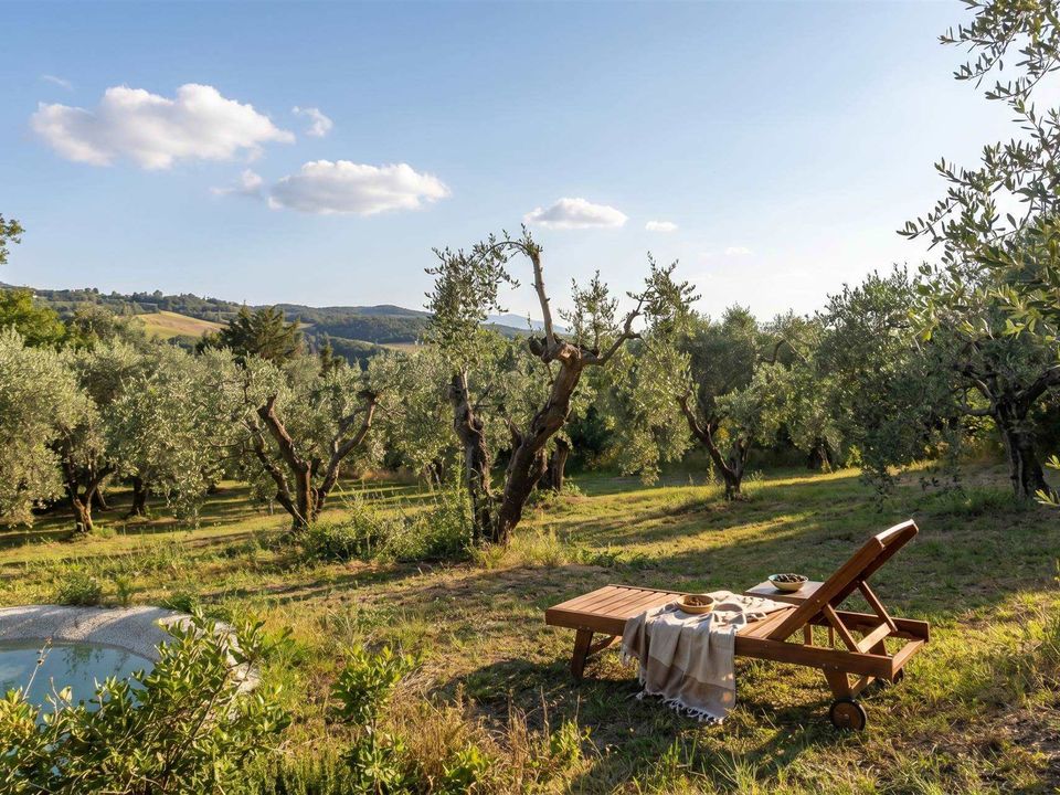 Gårdshus i Trequanda, Siena - bilde 5