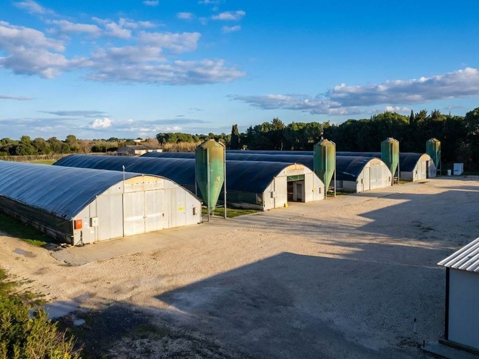 Farm hus i Castiglione del Lago, Perugia - foto 4
