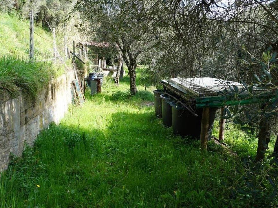 Helårsgrund i Albisola Superiore, Savona - foto 3