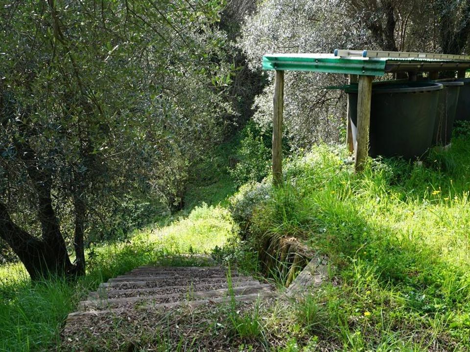 Helårsgrund i Albisola Superiore, Savona - foto 4