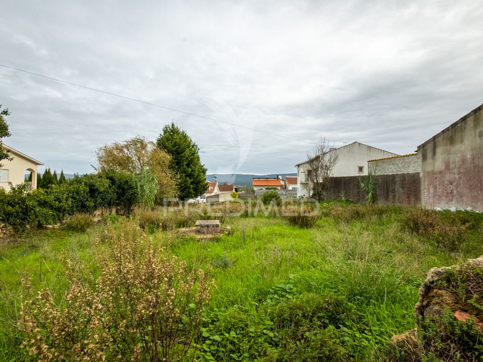 Helårsgrund i Alcobaca, Leiria - foto 3