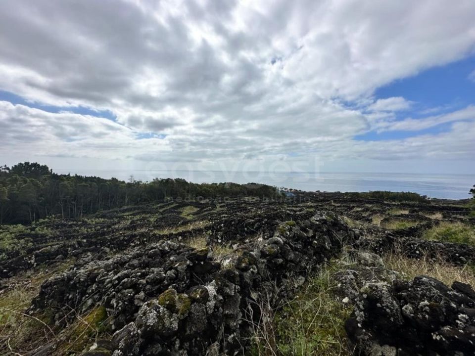 Helårsgrund i Sao Mateus, Graciosa - foto 1