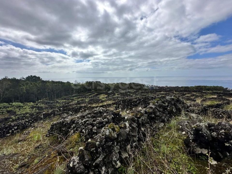 Helårsgrund i Sao Mateus, Graciosa - foto 2