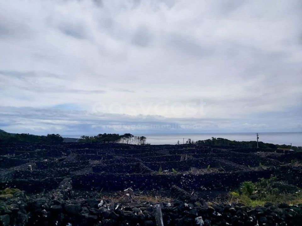 Helårsgrund i Sao Mateus, Graciosa - foto 5