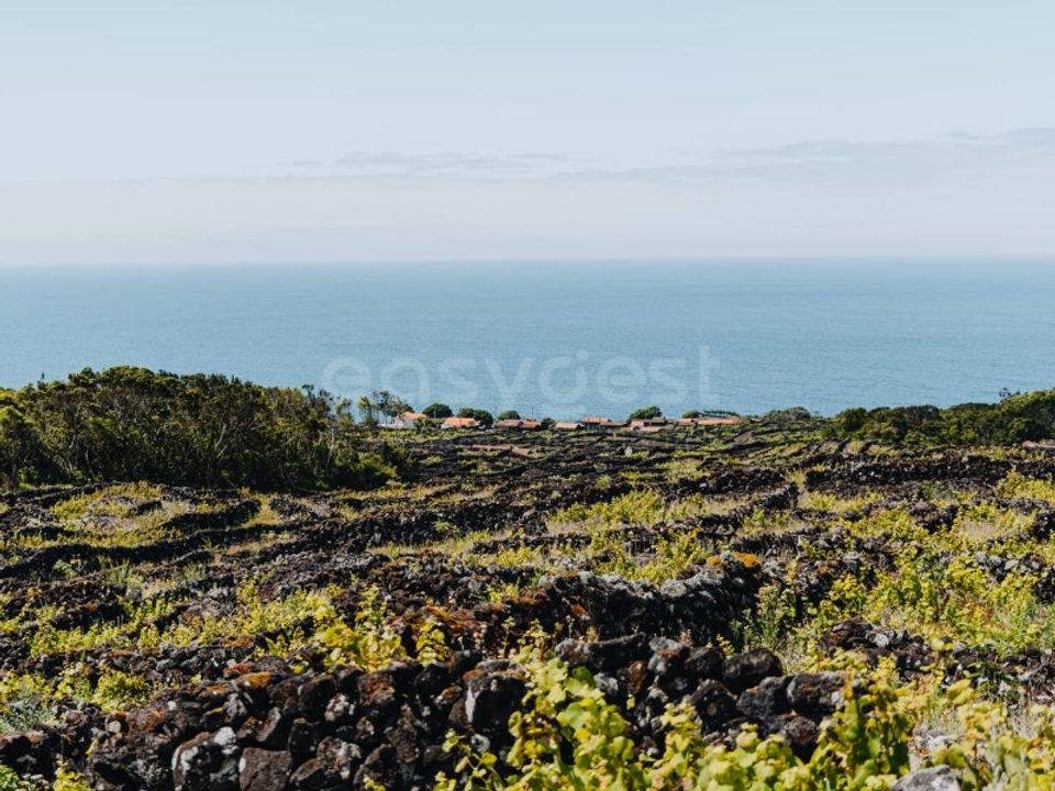 Terra em Sao Mateus, Graciosa - foto 1