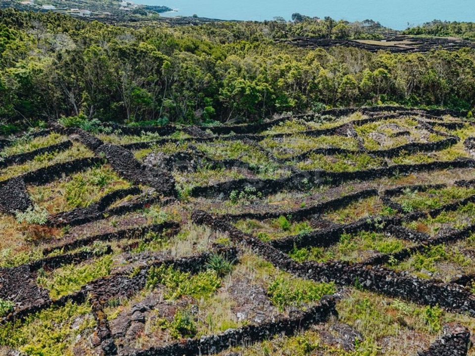 Terra em Sao Mateus, Graciosa - foto 3