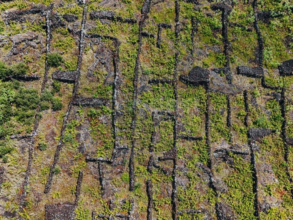 Terra em Sao Mateus, Graciosa - foto 4