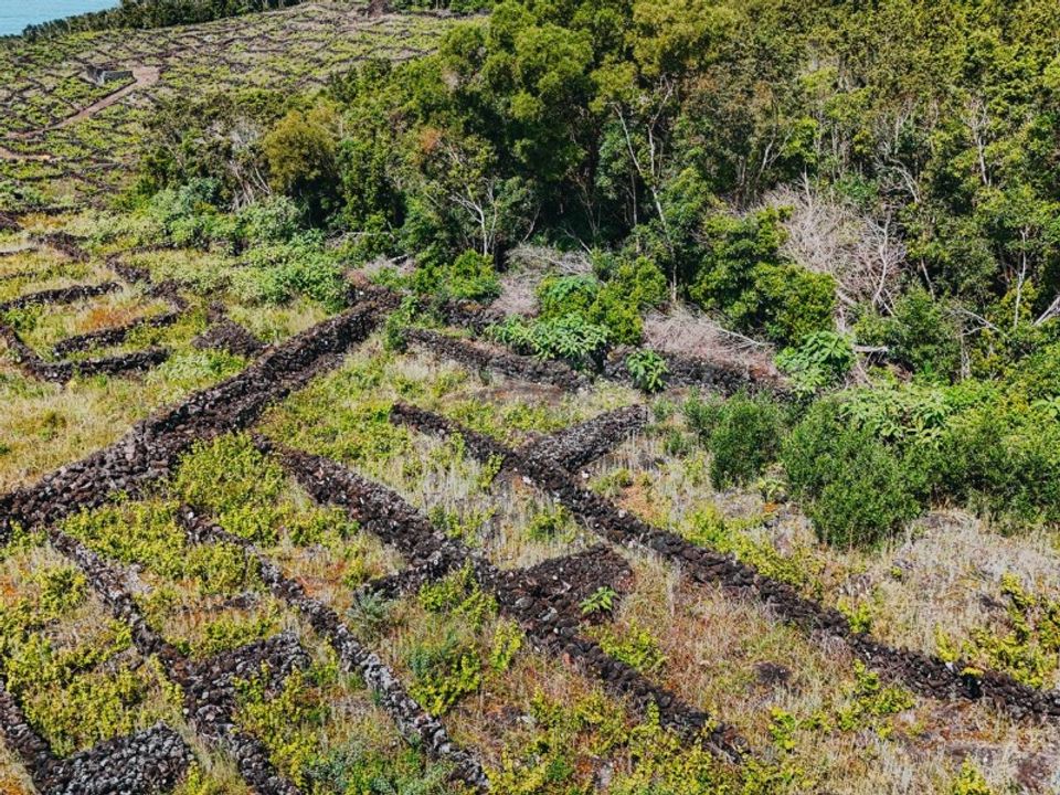 Terra em Sao Mateus, Graciosa - foto 5